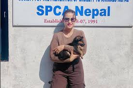 Photo of मनीषा कोइराला ने पशु कल्याण के लिए फैंस से की खास अपील…