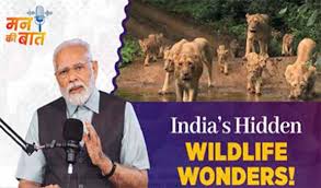Photo of मोदी ने की वन्य जीव संरक्षण के लिए काम करने वालों का हौसला बढ़ाने की अपील….