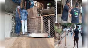 Photo of ठाणे में जंगली हिरण का रेस्क्यू, वन विभाग और बाकी टीमों ने बचाई जान…