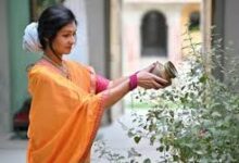 Photo of तुलसी के पास भूलकर भी न रखें ये चीजें, नाराज हो सकती हैं मां लक्ष्मी…