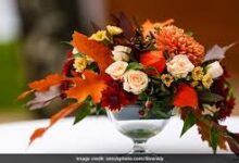 Photo of तुम्हारे फूल…