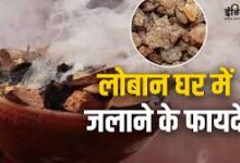Photo of लोबान जलाने से घर में होता है सकारात्मक ऊर्जा का संचार..
