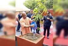Photo of उत्तर प्रदेश में बनेगा नया रिकॉर्ड, लगेंगे 37 करोड़ पौधे…