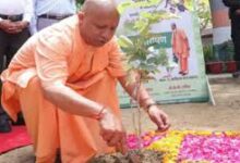 Photo of विकास के साथ-साथ पर्यावरण की रक्षा की जानी चाहिए: मुख्यमंत्री योगी…