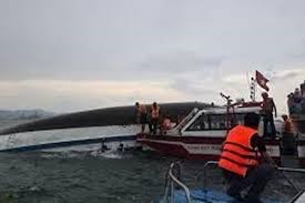 Photo of वियतनाम के हालोंग खाड़ी में क्रूज जहाज के पलटने से मृतकों की संख्या 37 हुई…