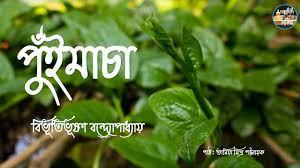 Photo of बांग्ला कहानी: पोई का मचान…