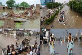 Photo of पाकिस्तान में मानसूनी बारिश ने ली आठ और लोगों की जान, मृतकों की संख्या 266 हुई…