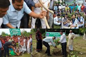 Photo of दिल्ली के न्यू उस्मानपुर में वृक्षारोपण, राहुल-तेजस्वी पर अजय महावर का जुबानी हमला…