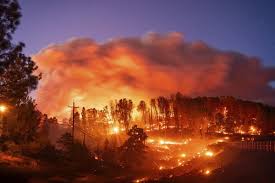 Photo of कैलिफोर्निया के जंगलों में लगी भीषण आग, सैकड़ों इमारतों पर मंडरा रहा खतरा…