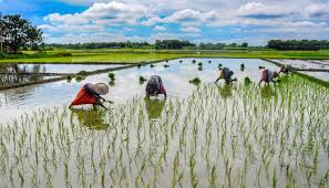 Photo of पीएमएफबीवाई के तहत 78.41 करोड़ आवेदनों का बीमा हुआ, 1.83 लाख करोड़ रुपए के दावों का हुआ भुगतान..