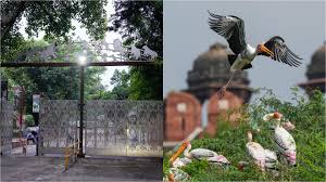 Photo of बर्ड फ्लू: दिल्ली चिड़ियाघर में निगरानी एवं जैव-सुरक्षा संबंधी कदमों को पुख्ता किया गया…