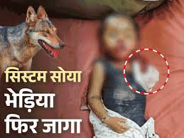 Photo of भेड़ियों के आतंक से कांप रहा बहराइच, बच्चों की हिफाजत के लिए लाठी-डंडे लेकर रातभर पहरा देतीं हैं महिलाएं.