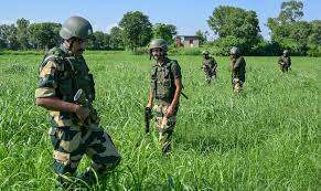 Photo of छत्तीसगढ़: अबुझमाड़ में सुरक्षा बलों को बड़ी कामयाबी, विस्फोटक और नक्सली साहित्य बरामद..