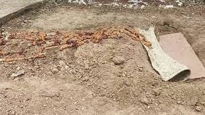 Photo of मानवता की मिसाल: 40 साल से भारतीय माँ-बेटी की कब्र की देखभाल पर फिनबार आर्चर को भारत ने सराहा..