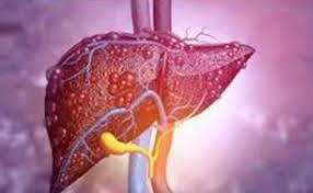 Photo of दिन पर दिन बढ़ रहा लिवर कैंसर का खतरा, इन 7 फूड हैबिट्स से होगा बचाव…