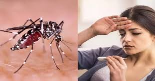 Photo of सोनभद्र में मलेरिया-डेंगू पर वार, संचारी रोगों के खिलाफ प्रशासन की मुहिम शुरू