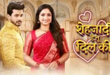 Photo of स्टार प्लस ने रिलीज किया ‘शहज़ादी… है तू दिल की…’का नया प्रोमो…