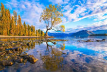 Photo of पूर्व का स्कॉटलैंड है शिलांग