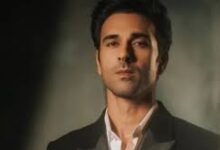 Photo of बचपन में ‘अजूबा’ और ‘छोटा चेतन’ देखने के बाद ‘राहु केतु’ को लेकर काफी उत्साहित हूँ : पुलकित सम्राट…