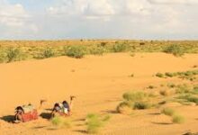 Photo of कहानी: थार मरु..