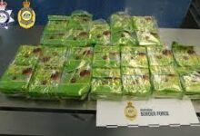 Photo of सिडनी हवाई अड्डे पर चाय के पैकेटों में छिपाकर लाया जा रहा 78 करोड़ रुपये का नशीला पदार्थ’, महिला गिरफ्तार