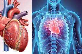 Photo of बिना ओपन हार्ट सर्जरी के अब वाल्व रिपेयर संभव…