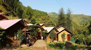 Photo of इको टूरिज्म के लिए मशहूर राजगढ़ का कैंप