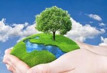 Photo of प्रकृति प्रेम है तो वन सेवा में जाइए…