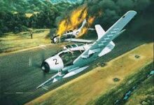 Photo of अमेरिका में विमान दुर्घटना में दो लोगों की मौत