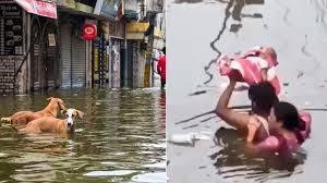 Photo of 17 जिले में बाढ़ से हाहाकार, 24 जिलों में भारी बारिश, वाराणसी और प्रयागराज में गंगा उफान पर….