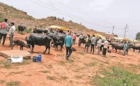 Photo of गोंडा और काशी में तीज की धूम, भक्तिमय हुआ माहौल…