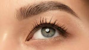 Photo of इन आसान टिप्स से बनाएं पलकों को घना और खूबसूरत.