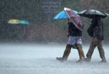 Photo of तमिलनाडु में भारी बारिश का अनुमान; चेन्नई, थेनी में ऑरेंज अलर्ट