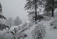 Photo of जम्मू-कश्मीर के कुछ हिस्सों में ताजा बर्फबारी; अगले 48 घंटों तक मौसम शुष्क रहने की संभावना